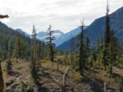 wp-image-190524680