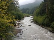 wp-image-23741823