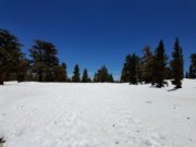 wp-image-410781243