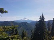 wp-image-955059169