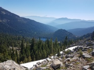 wp-image-1401532803