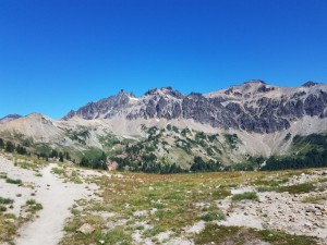 wp-image-1444170782