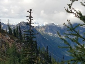 wp-image-1711398069