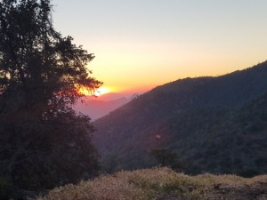 wp-image-1730985871