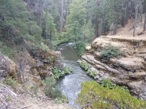 wp-image-1810827428