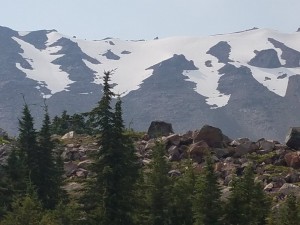 wp-image-1814079972