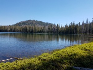 wp-image-1819784856