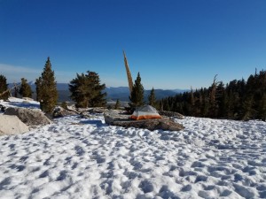 wp-image-1837035617