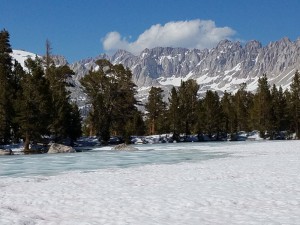 wp-image-1849202987