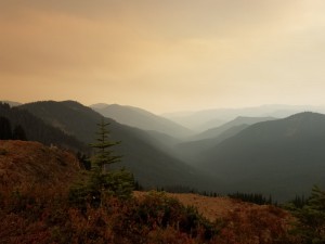 wp-image-1880450082