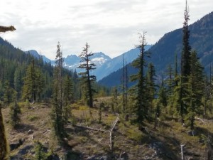 wp-image-190524680