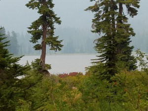 wp-image-1929495080