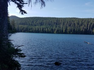 wp-image-194726149