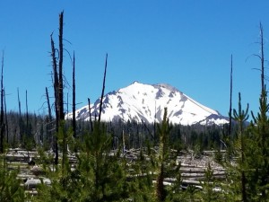 wp-image-2009299303