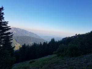 wp-image-2058852564