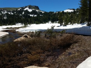 wp-image-2079287417