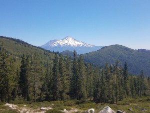 wp-image-2079366647