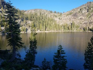 wp-image-2087070404