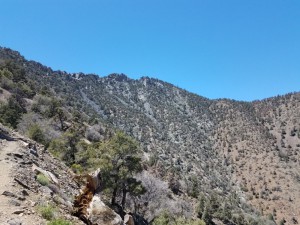 wp-image-2101221731