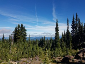 wp-image-2110727443