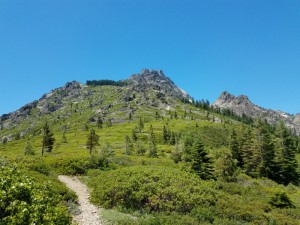 wp-image-2113541336