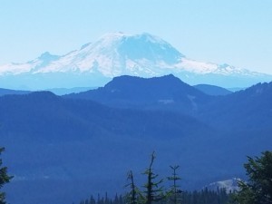 wp-image-2130078615