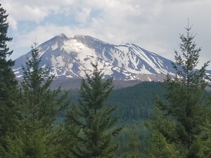 wp-image-226069942