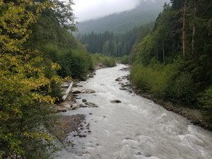 wp-image-23741823