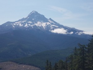 wp-image-243783428