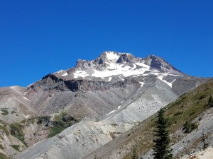 wp-image-284975130