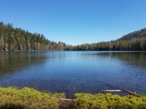 wp-image-331974570