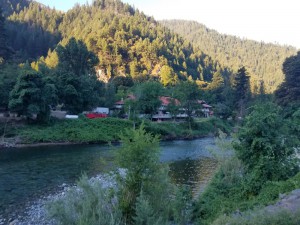 wp-image-348613123
