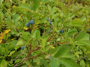 wp-image-494851216