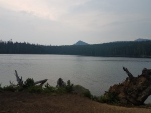 wp-image-501622754