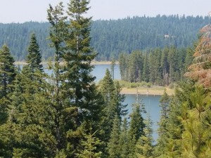 wp-image-538564232