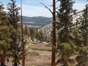 wp-image-557022727