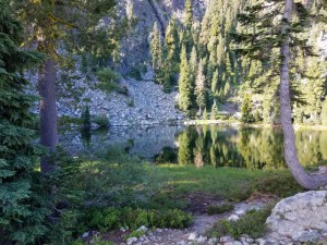 wp-image-574783198