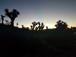 wp-image-64732846