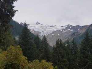 wp-image-675109397