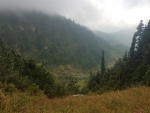 wp-image-681860084