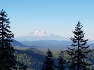 wp-image-731729305