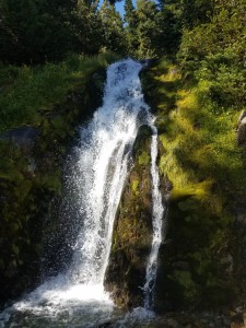 wp-image-775084549