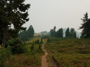 wp-image-777952037