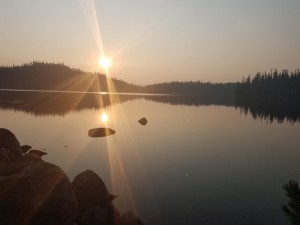 wp-image-805607534
