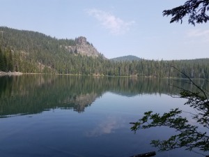 wp-image-874492100
