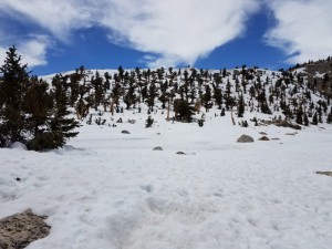 wp-image-915293056