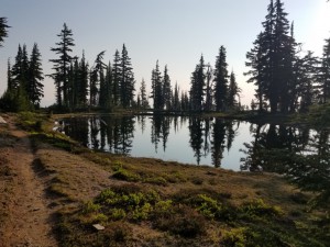 wp-image-924372592