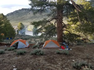 wp-image-947315400