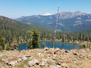 wp-image-954621427